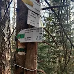 Lodge 